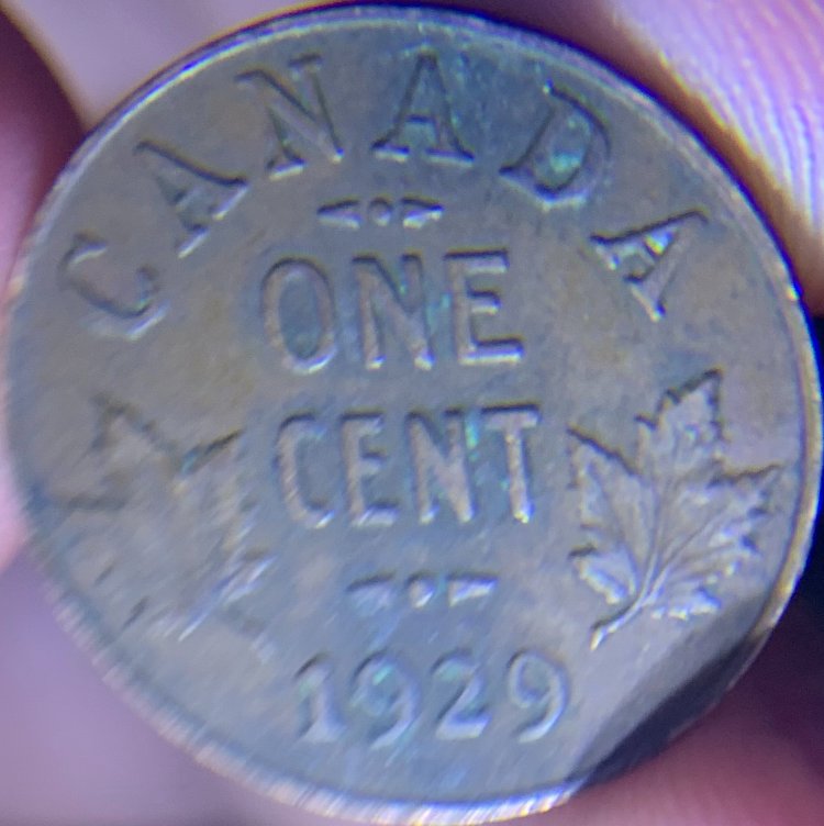 A-Running-Chain-Of-That-Coin-Dude's-World-Coin-Finds.
